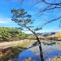 釜山🇰🇷悠遊慢步調享受風景與美食的城市