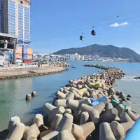 釜山🇰🇷悠遊慢步調享受風景與美食的城市