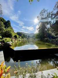 深圳最美植物園，湖光山色，處處都是打咭位
