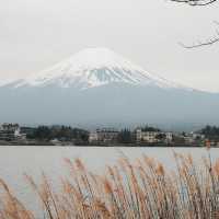 View of Mount Fuji 