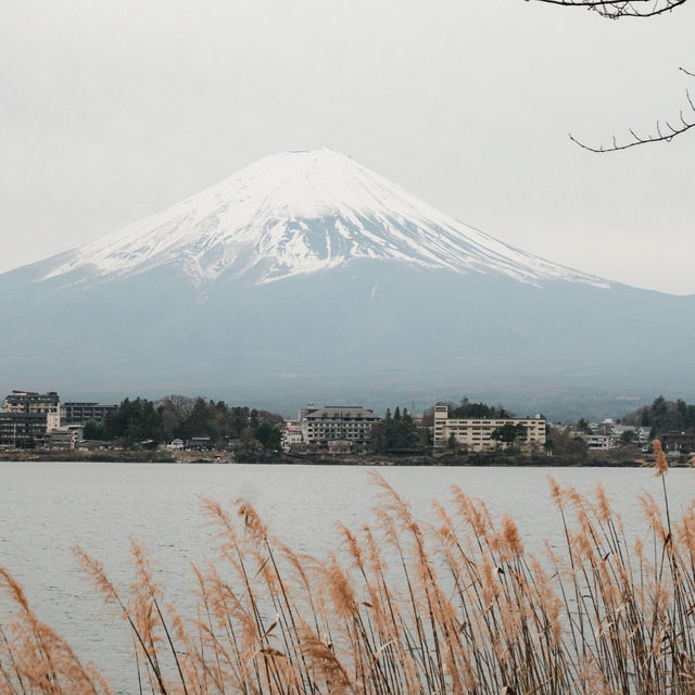 View of Mount Fuji 