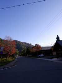 日本賞楓，藍天襯楓紅令人著迷
