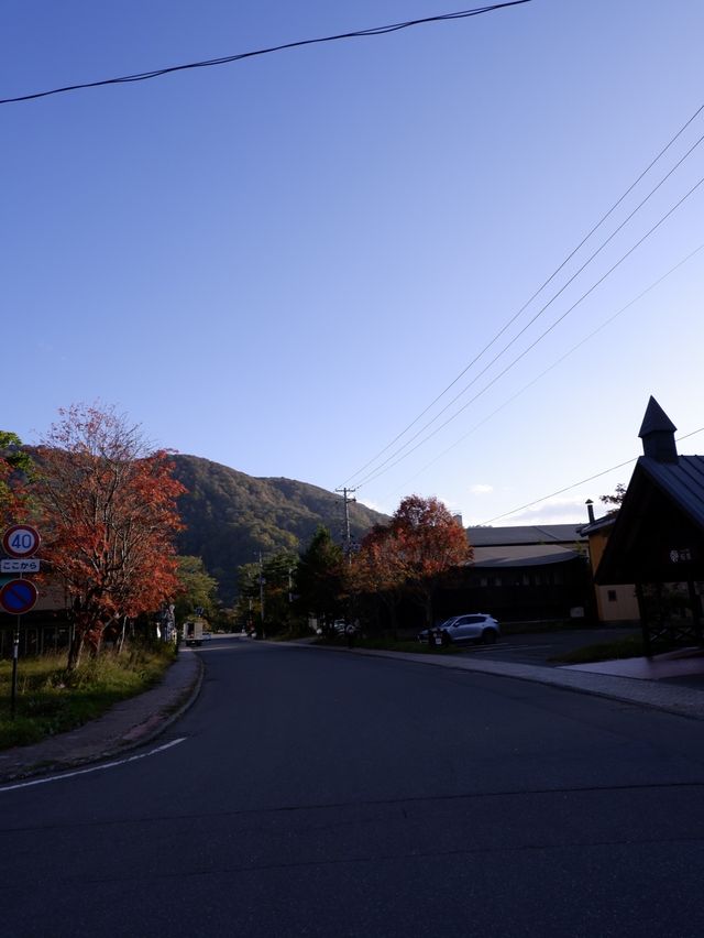 日本賞楓，藍天襯楓紅令人著迷