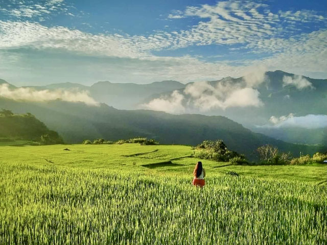 Tinglayan Rice Terraces
