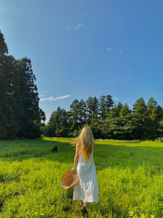 유럽 초원같은 제주도 핫플🕊