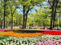 Hitachi seaside Park