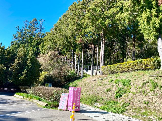 清境小瑞士花園-美麗花園