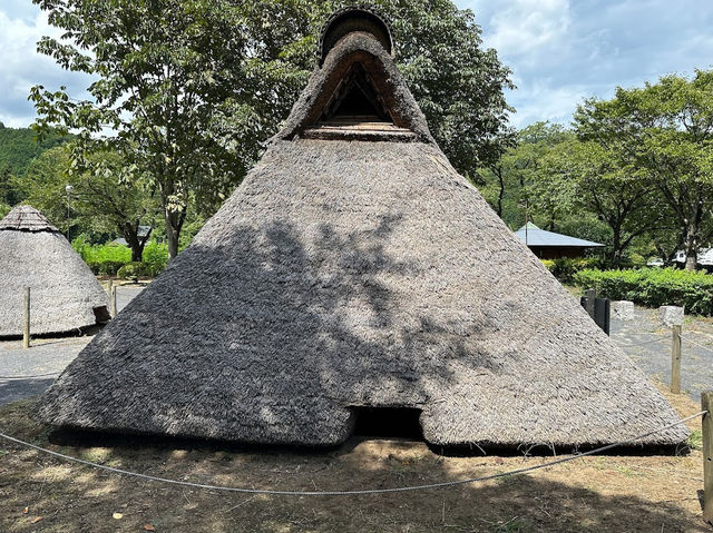 Hoshino Archaeological site