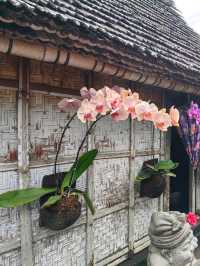 The Cleanest Village in the World