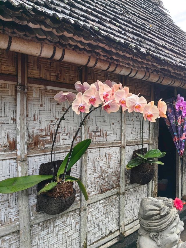 The Cleanest Village in the World