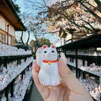 🇯🇵東京最新打卡點：豪德寺⛩️ 打卡招財貓大爆發🐱🤑