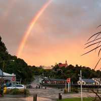 野生のキウイやオーロラが見れる！？ニュージーランド最南端の島🇳🇿