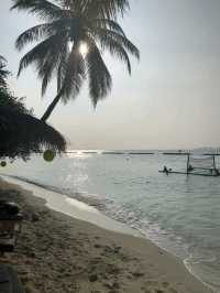 🇲🇻馬爾代夫Krumba椰子島帶給你最放鬆美好時光🥥🏖️