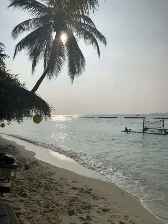 🇲🇻馬爾代夫Krumba椰子島帶給你最放鬆美好時光🥥🏖️