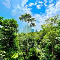 The Southern Ridges