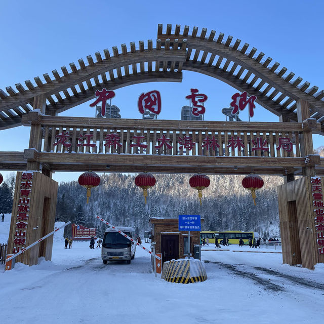 《哈爾濱美食冰雪之旅:探索中國雪鄉與大教堂》 《哈爾濱美食冰雪之旅:探索中國雪鄉與大教堂》