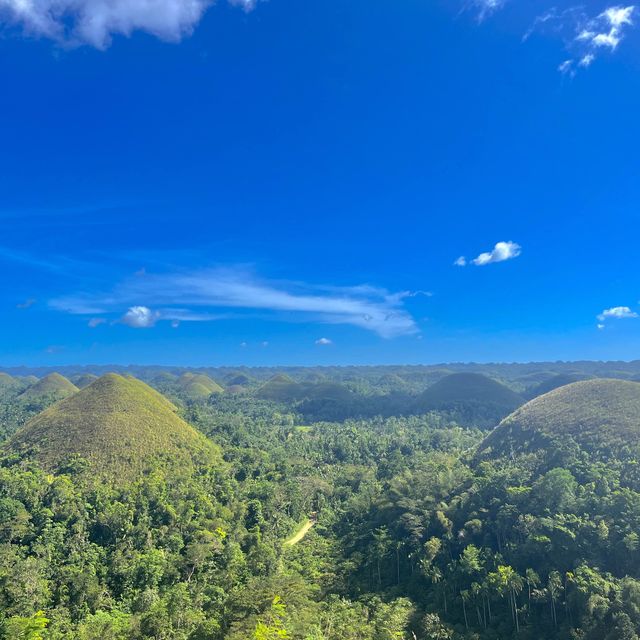 Tarsier and Chocolate Hills 