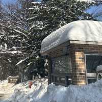 삿포로 느낌 가득한 강원도 삼양 라운드힐 ❄️