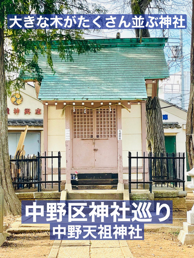 【中野天祖神社/東京都】大きな木がたくさん並ぶ神社