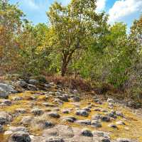 ลานหินปุ่ม (Lan Hin Pum) จังหวัดพิษณุโลก