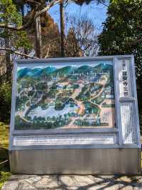 龍安寺の境内の鏡容池(おしどり池)の、水分石(みくまり石)の上には、２羽の鳥が仲良く並んでいた