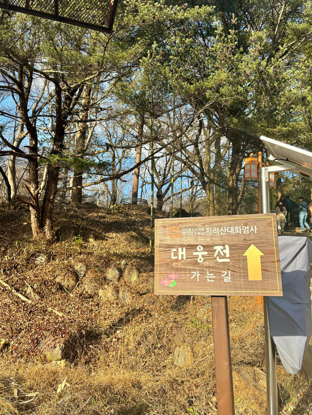 아름다운 봄꽃을 보면서 고즈넉함을 느끼고 싶을 땐 이곳으로💛