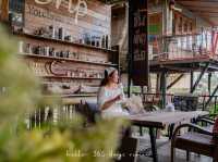 Merino Sheep Farm น้องแกะน่ารัก 