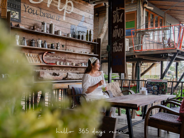 Merino Sheep Farm น้องแกะน่ารัก 