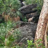 Kakadu Adventures 