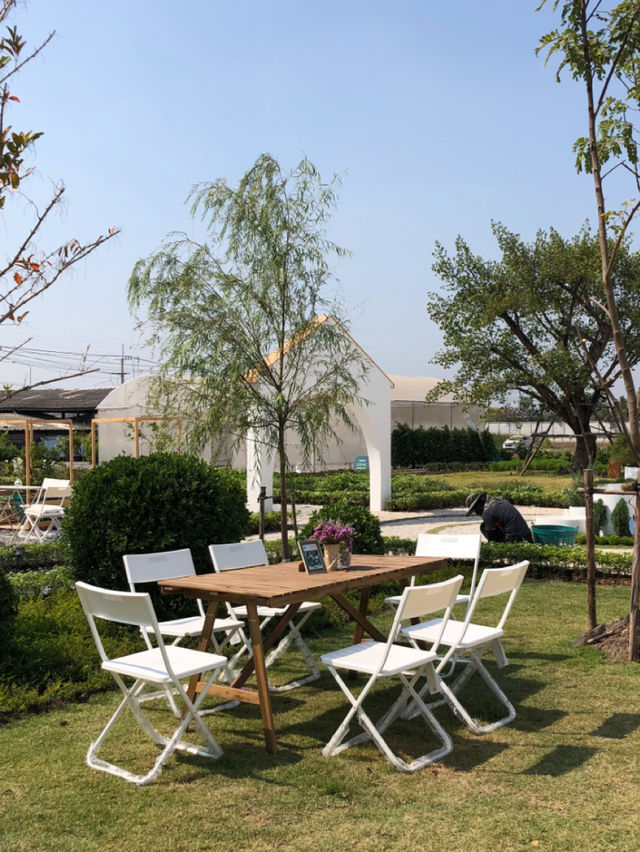 คาเฟ่นครปฐมที่อยากแนะนำ | Lemon Me Farm