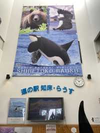 【羅臼】冬でもウニが食べれる道の駅
