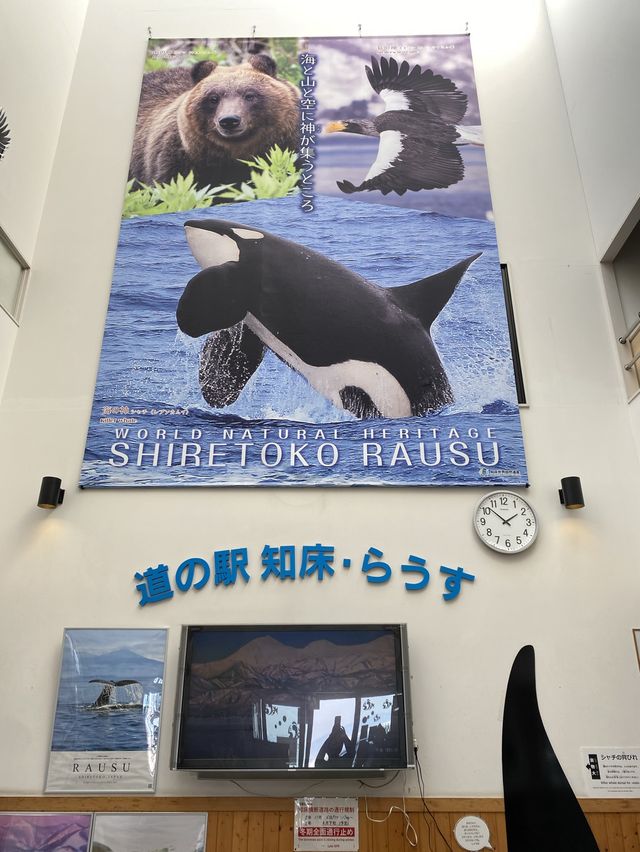【羅臼】冬でもウニが食べれる道の駅