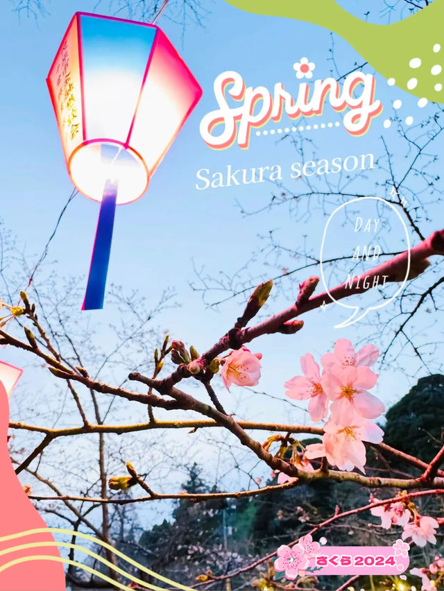 【千葉】今週末が見頃!!桜の名所100選の穴場お花見スポット