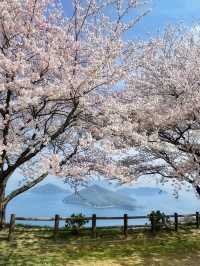 一生に一度は行きたい‼️絶景に会いに行こう🌸