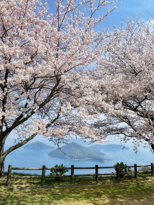 一生に一度は行きたい‼️絶景に会いに行こう🌸