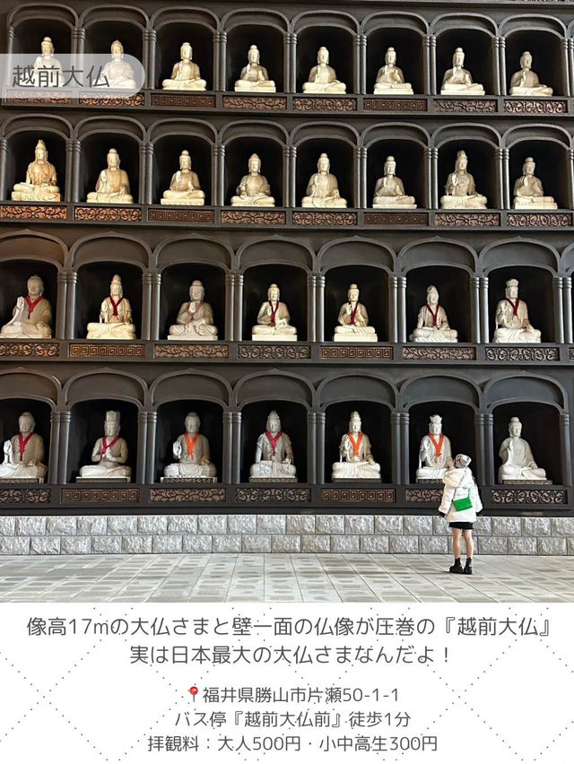 【福井】写真映えスポットからご当地グルメまで✨福井県でやりたいことをまとめたよ✍