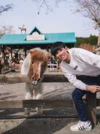 🇯🇵 日本山梨 馬飼野牧場：動物互動、體驗農場生活 適合一日遊！🐴