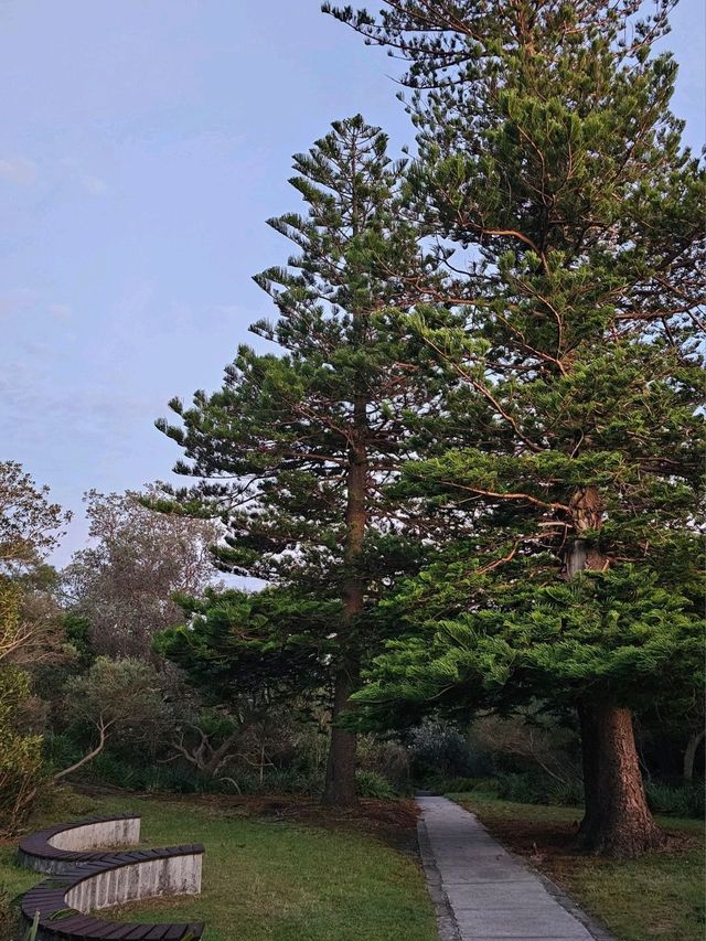🇦🇺 시드니 갭공원에서 산책하기 💙