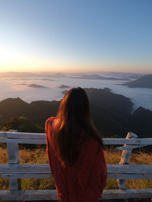 แสงเช้าสวยที่สุดในชีวิต ภูชี้ดาว 🌄