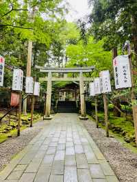 【新潟県】新潟県随一のパワースポット彌彦神社！