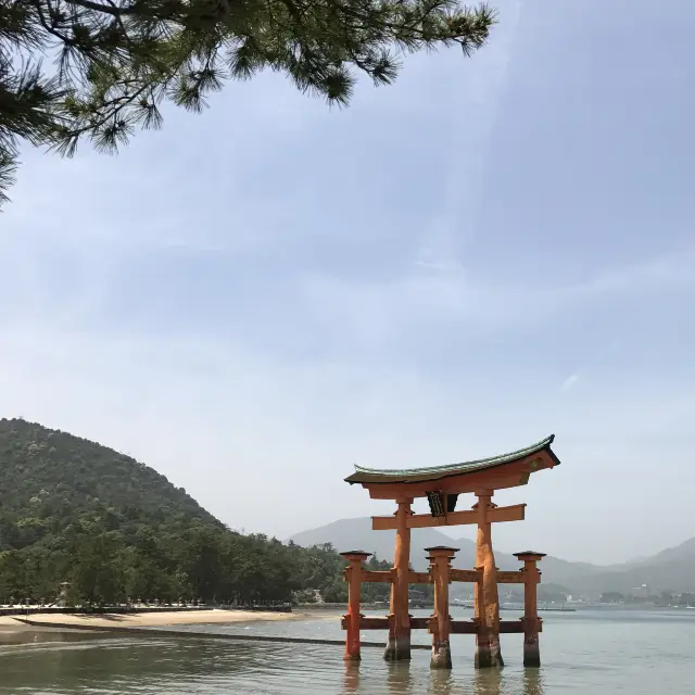 嚴島神社，適合春天遊覽