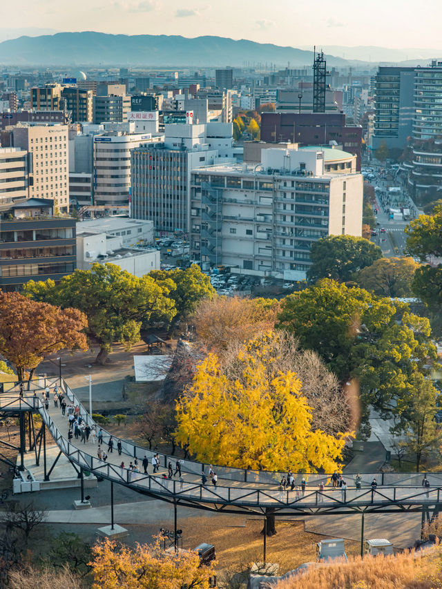 Kumamoto Castle 🏯แลนด์มาร์คดังแห่งเมืองคุมาโมโตะ