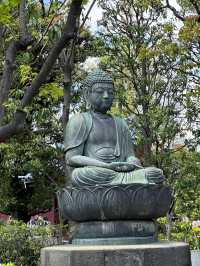 자연의 싱그러움, 분홍 꽃이 만발하고 🌸 나무와 풀의 푸르름이 깃든 🌳 도쿄 봄여행지 추천