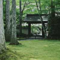 「東京小豆沢神社：百年歷史，獨具魅力」
