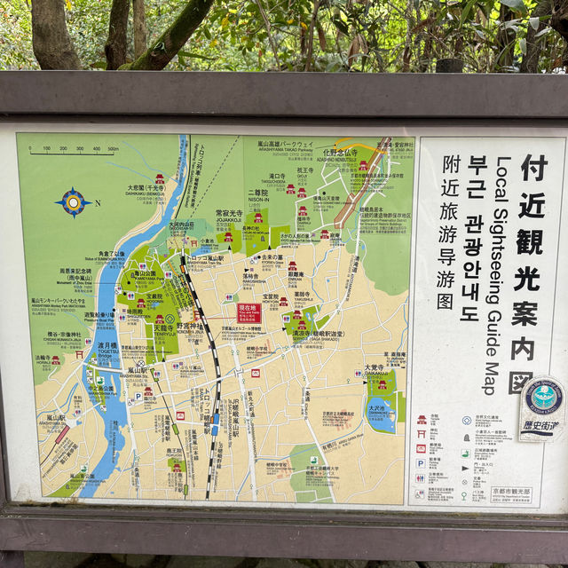 아라시야마 치쿠린 대나무숲 관광