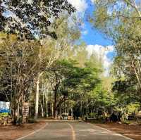 Ba Luang Waterfall Forest Park