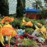 景點-新加坡🇸🇬三大植物園［濱海灣花園雲霧林、花穹、胡姬花園］
