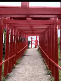 【山口観光】100m続く赤い鳥居のトンネルがある神社⛩
