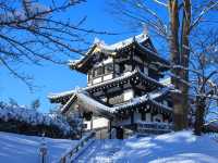 高田城址公園櫻花