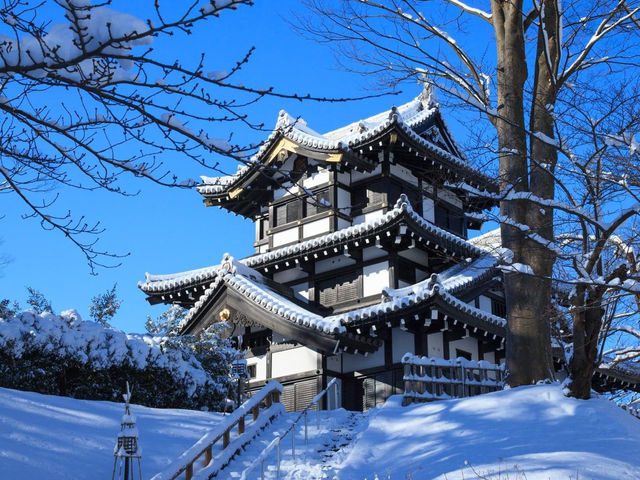 高田城址公園櫻花